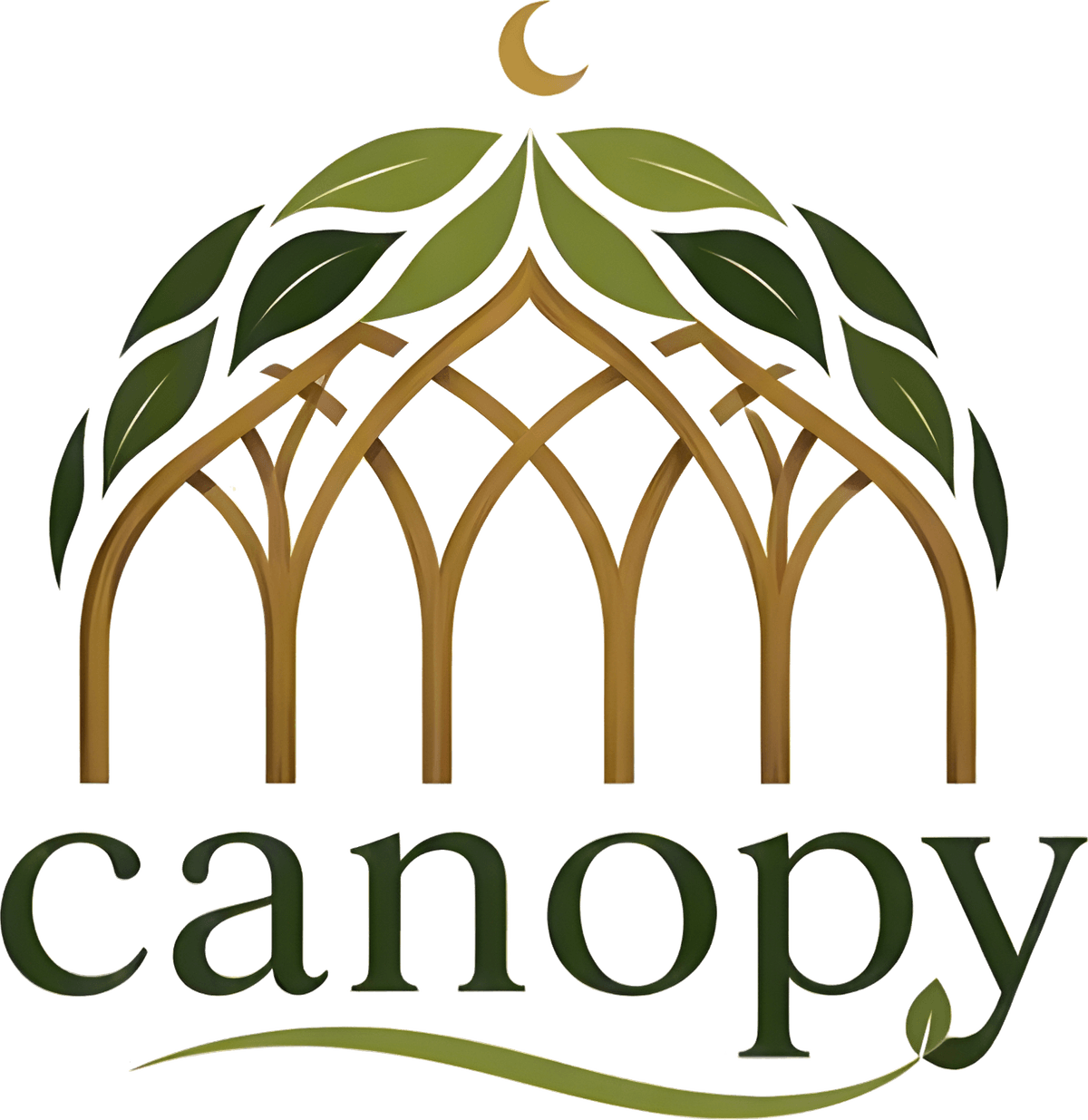 Canopy